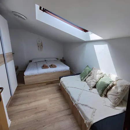 Guest house Tome Ljubljana