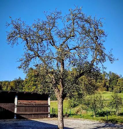 Tome Gasthof Laibach
