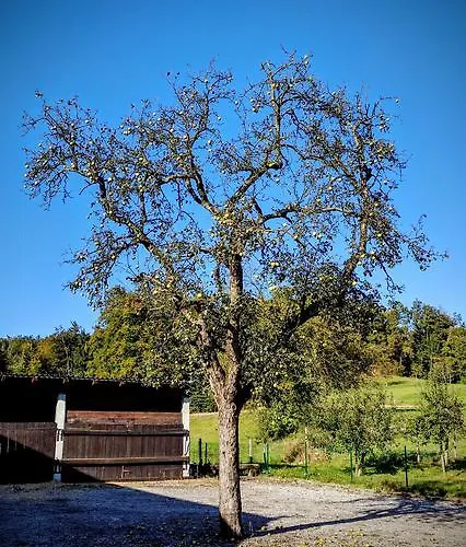 Tome Pensionat Ljubljana