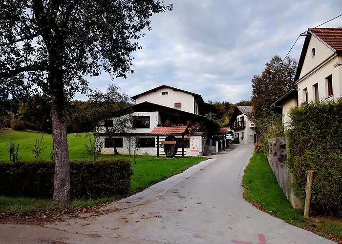 Tome Konukevi Ljubljana